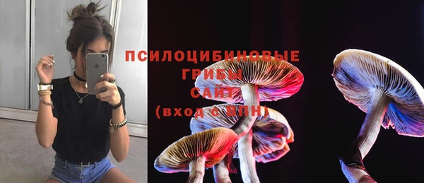 мдпв Вязьма