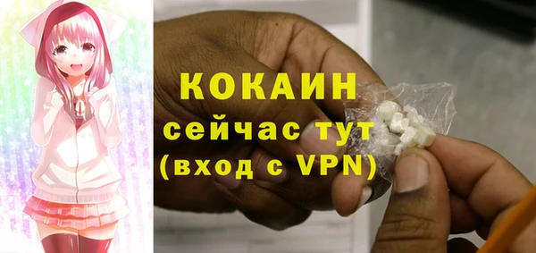 мдпв Вязьма
