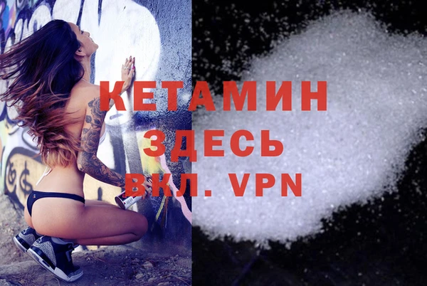 дмт Вяземский
