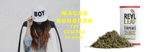 дмт Вяземский