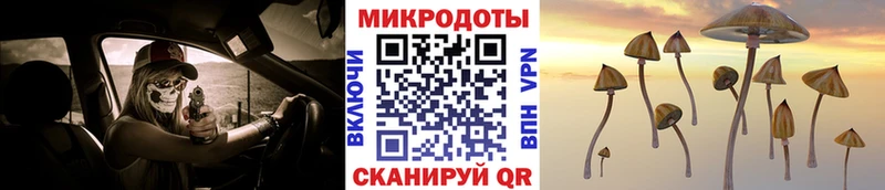 Купить закладки  Бугуруслан  Галлюциногенные грибы мицелий 